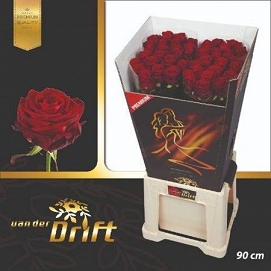 Róża red naomi 90/30 dryft premium
