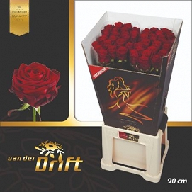 Róża red naomi 90/40 dryft premium