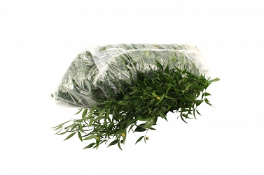 Ziel ruscus italia 400g 